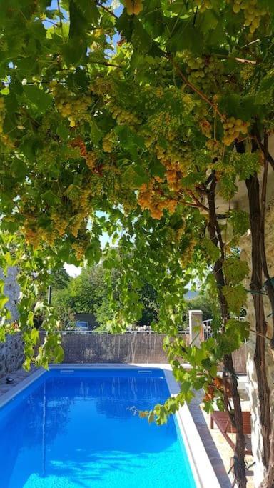 Villa Stone House Kula Milica Mala Cista Exterior foto